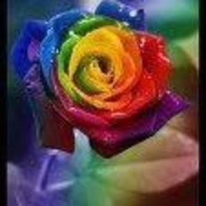 Meet your Posher, Than